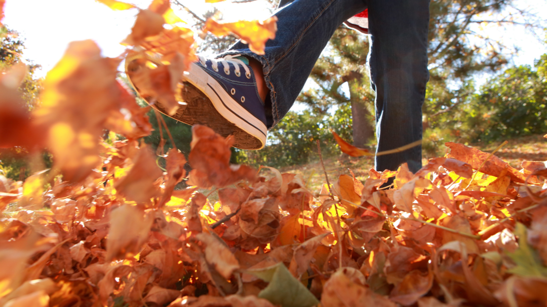 ©soupstock/AdobeStock